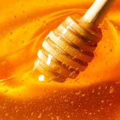 NUXE CICA Crème Mains Riche Discount