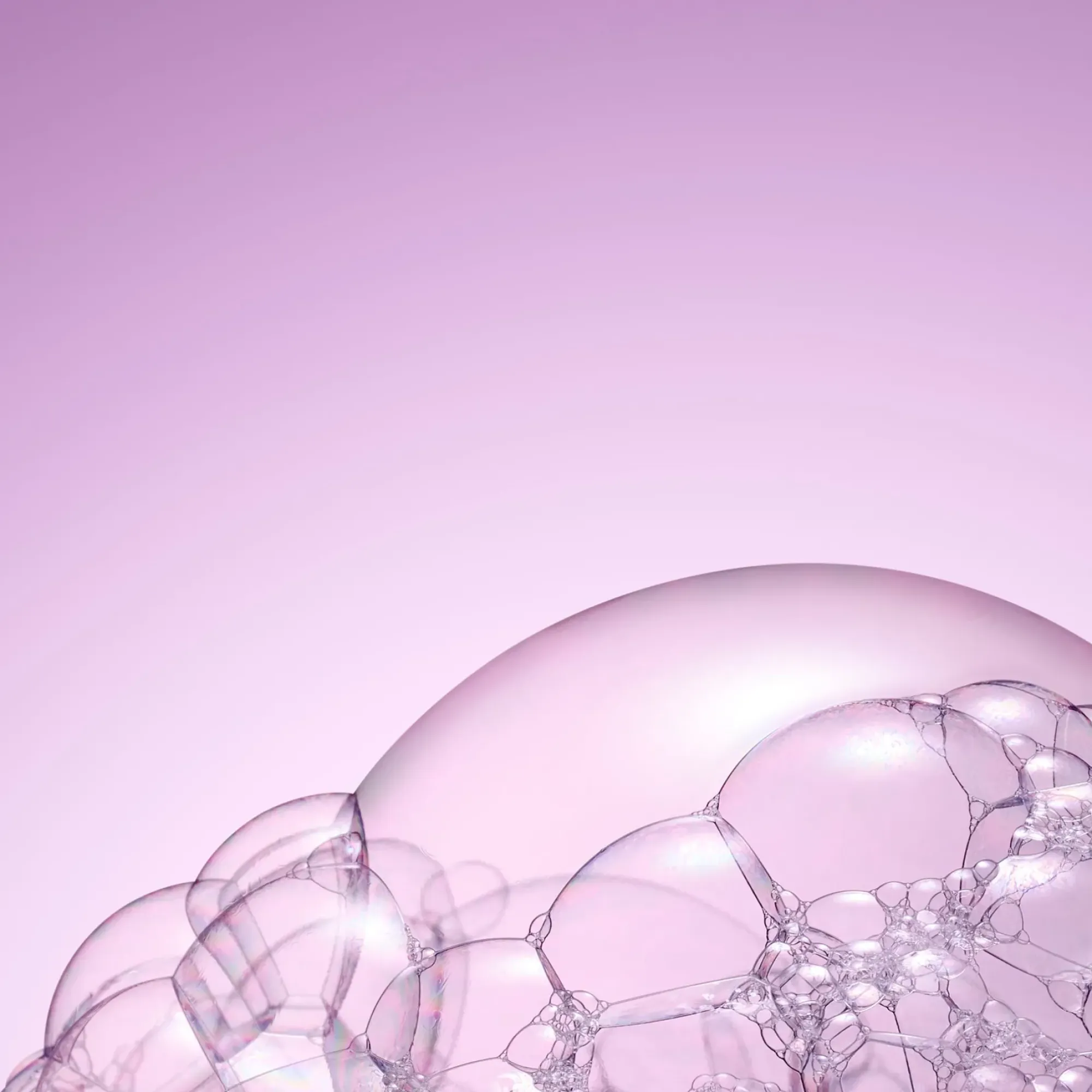 NUXE Le Shampooing Brillance Miroir Best Sale